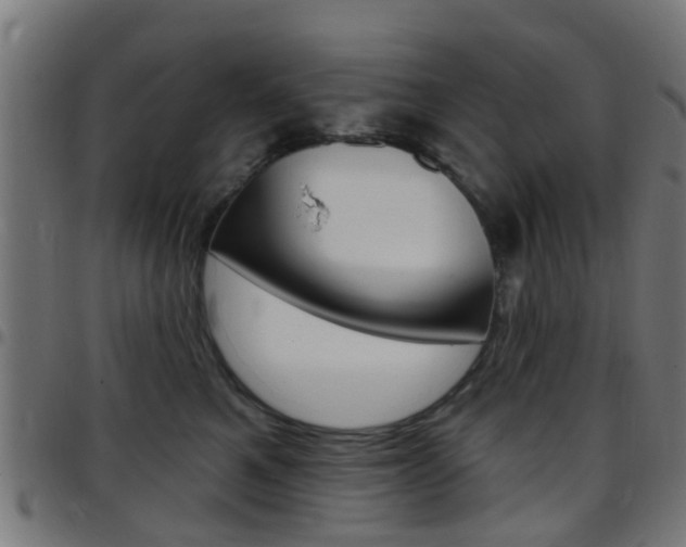 X0000097750521200803070845