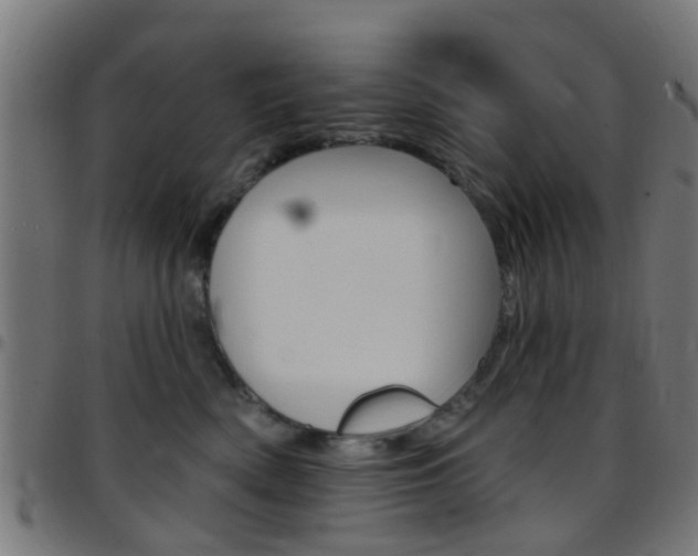 X0000097750522200803070845