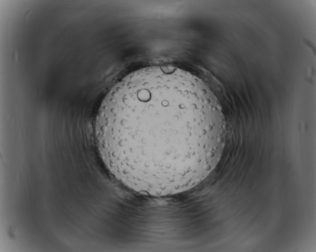 X0000097750523200803070845