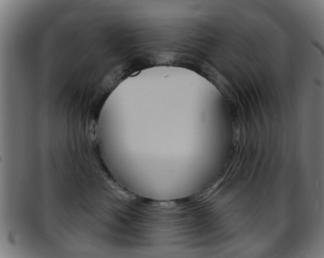 X0000097750525200803070845