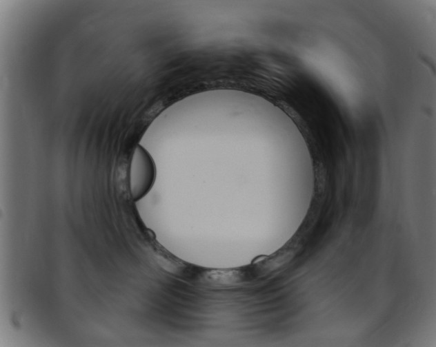 X0000097750526200803070845
