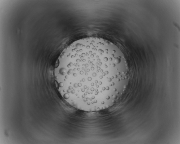 X0000097750527200803070845