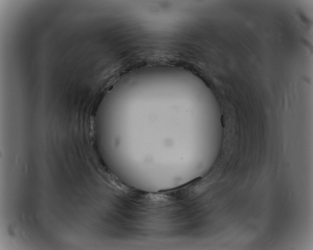 X0000097750528200803070845