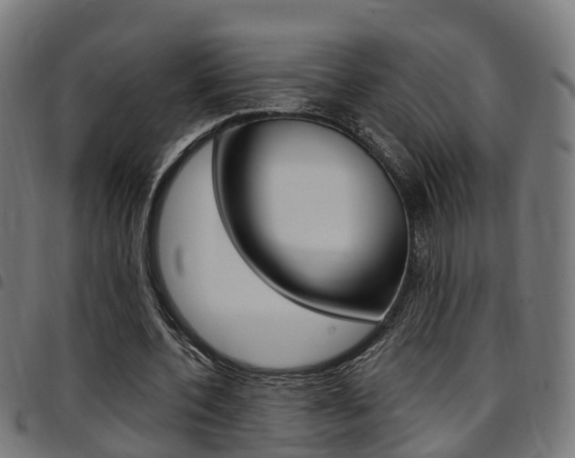 X0000097750532200803070844