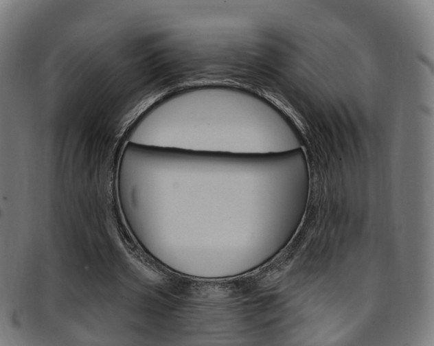 X0000097750533200803070844