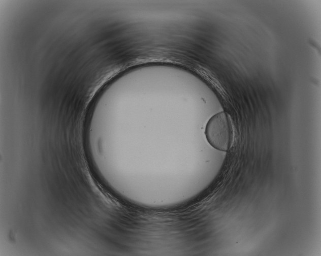 X0000097750534200803070844