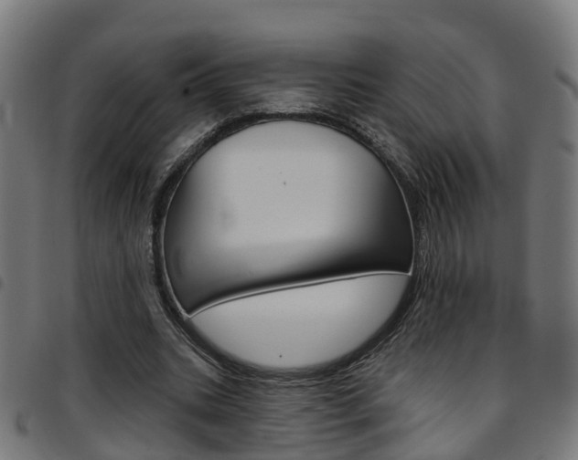 X0000097750535200803070844
