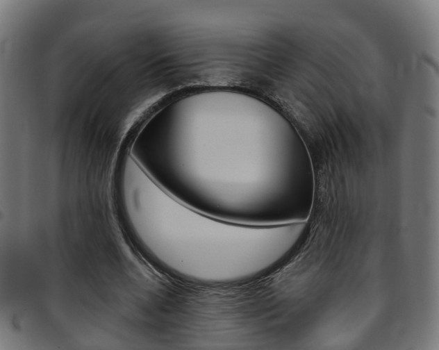 X0000097750536200803070844