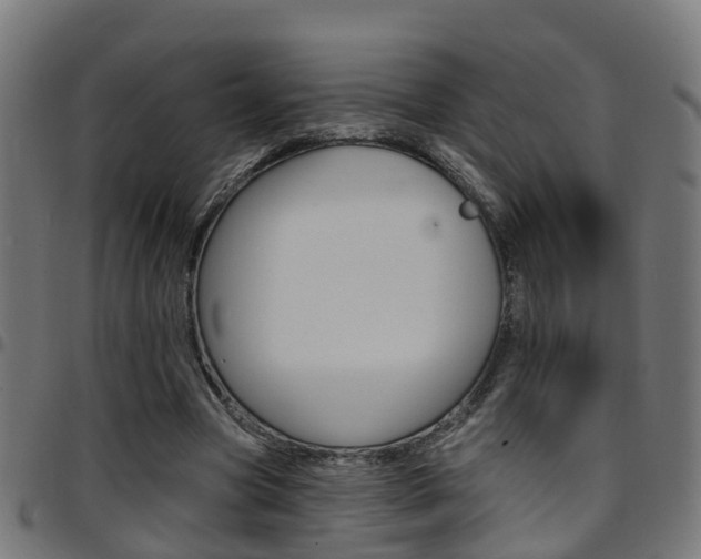 X0000097750537200803070844