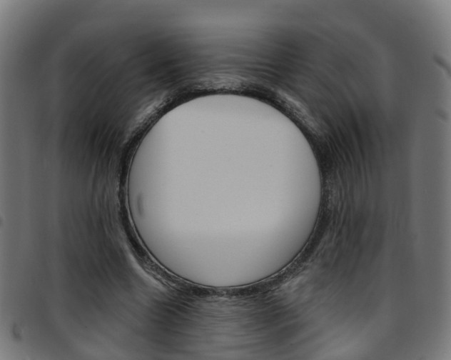 X0000097750538200803070844