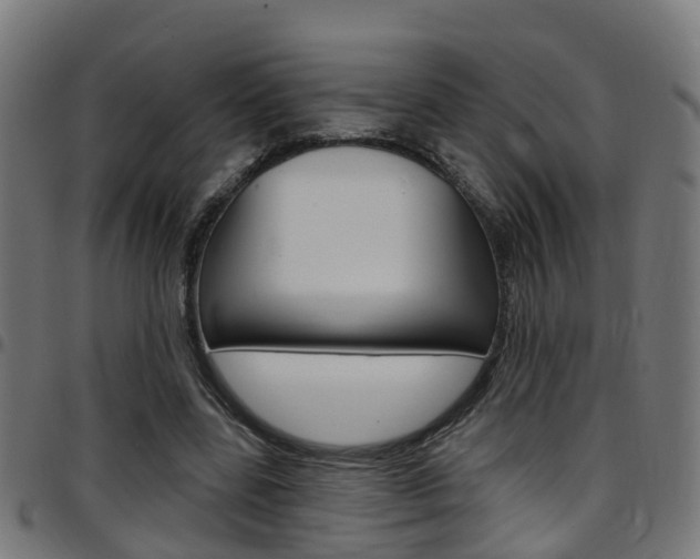X0000097750539200803070844