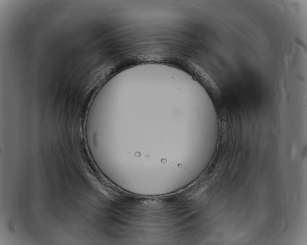 X0000097750541200803070844