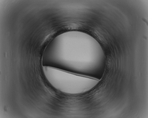X0000097750543200803070844