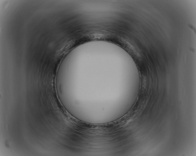 X0000097750545200803070844