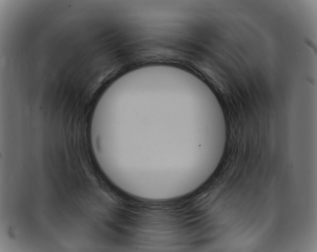 X0000097750547200803070845