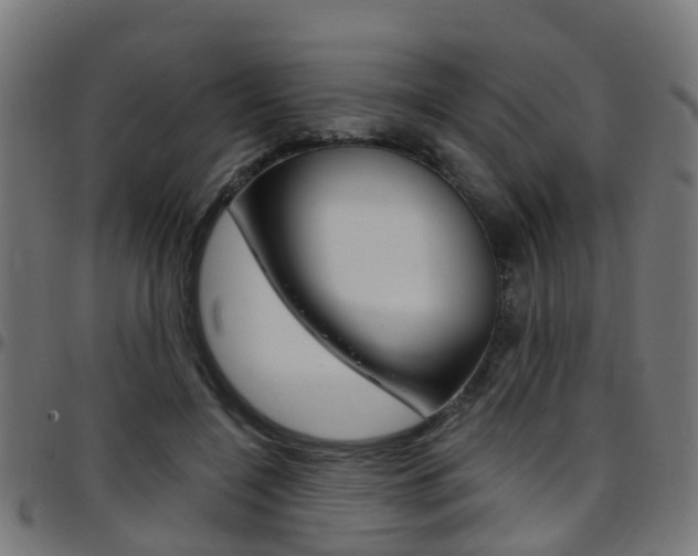 X0000097750548200803070845