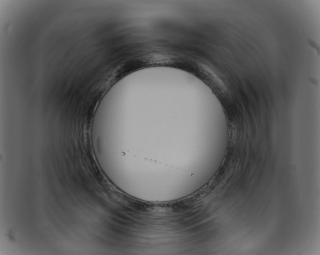 X0000097750549200803070845