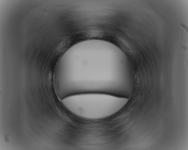 X0000097750550200803070845