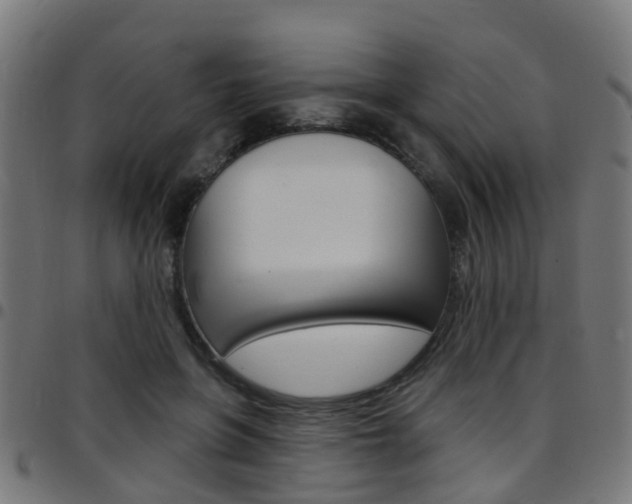 X0000097750551200803070845