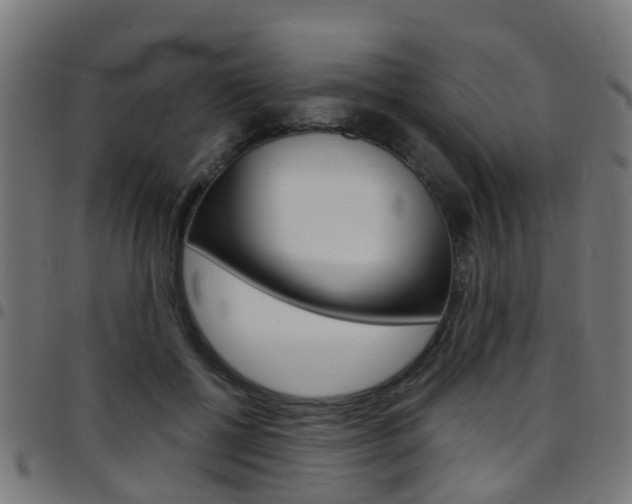X0000097750552200803070845