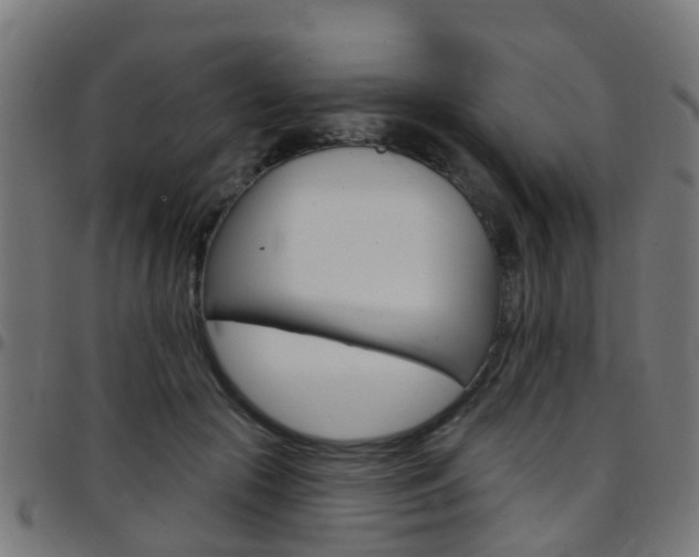 X0000097750553200803070845