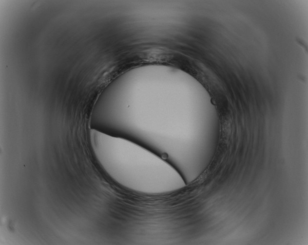 X0000097750554200803070845