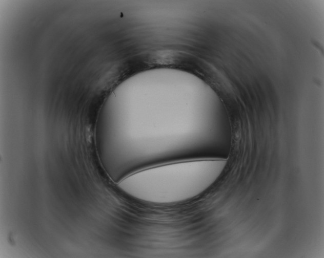 X0000097750555200803070845