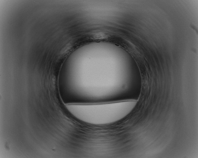 X0000097750556200803070845
