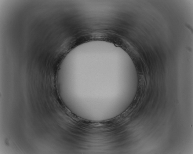 X0000097750557200803070845