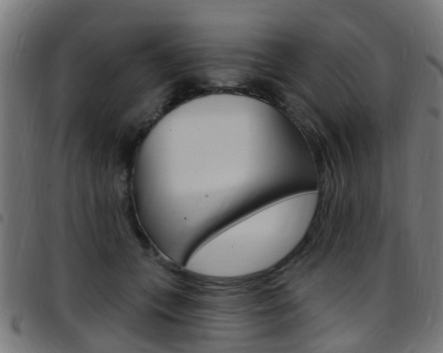X0000097750559200803070845
