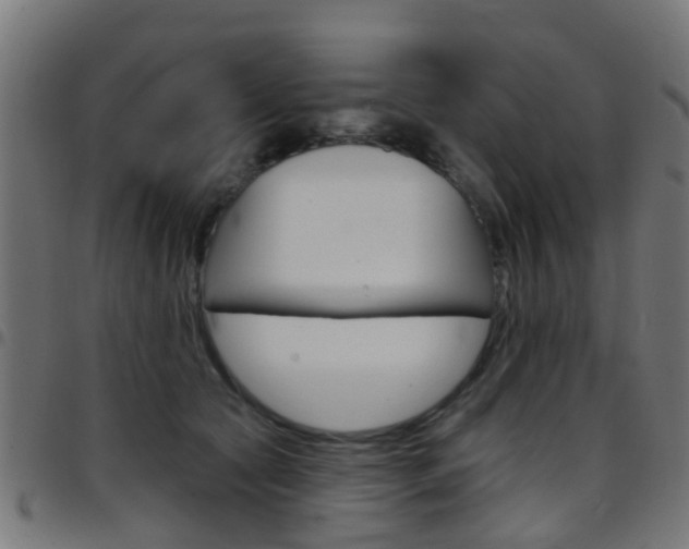 X0000097750561200803070845