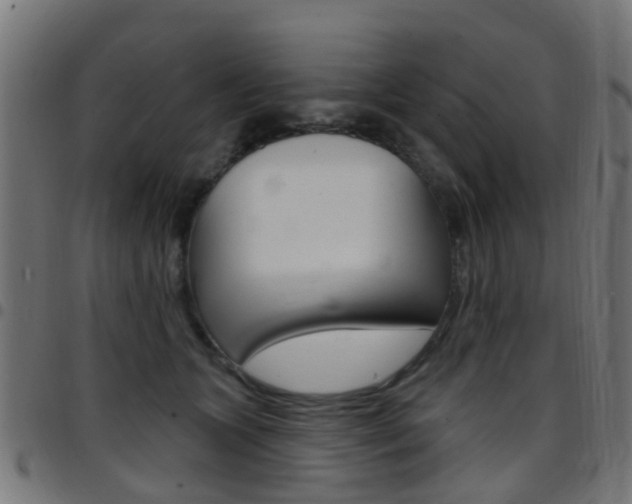 X0000097750563200803070845