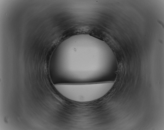 X0000097750564200803070845