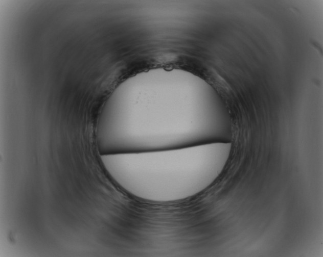 X0000097750565200803070845