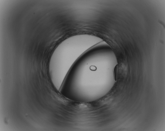 X0000097750566200803070845