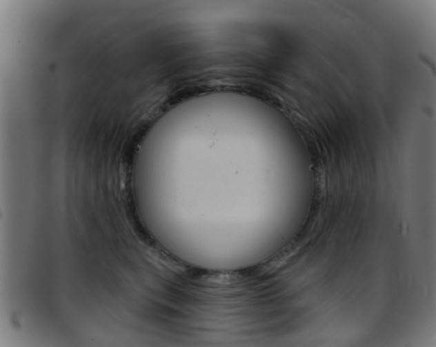X0000097750567200803070845