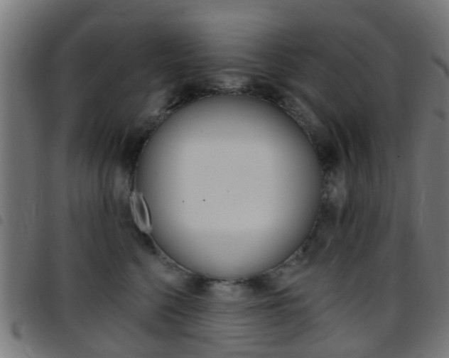 X0000097750568200803070845