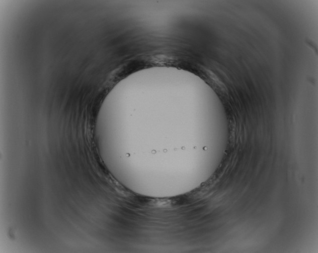 X0000097750569200803070845