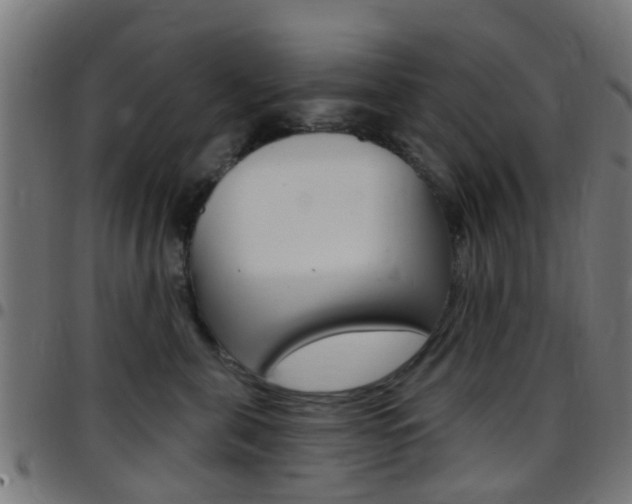 X0000097750571200803070845
