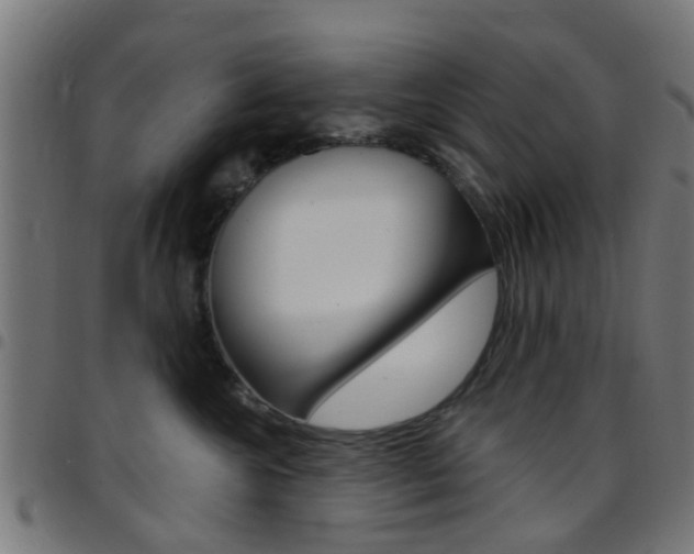 X0000097750572200803070845