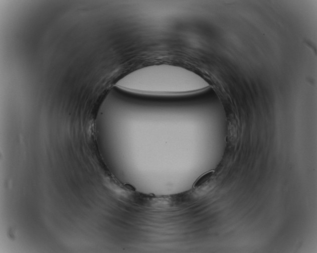 X0000097750574200803070845