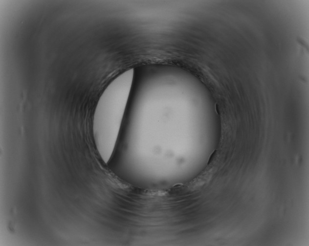 X0000097750576200803070845