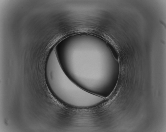 X0000097750577200803070844