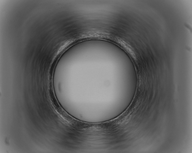X0000097750578200803070844