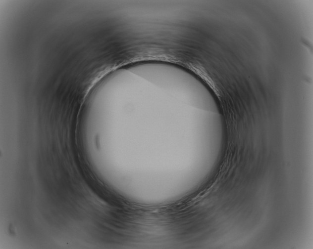 X0000097750579200803070844