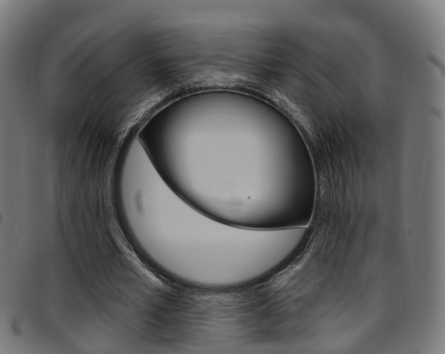 X0000097750581200803070844