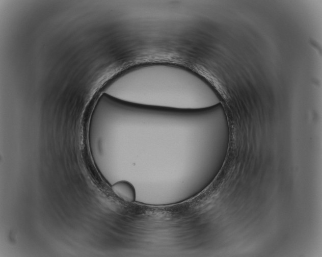 X0000097750582200803070844