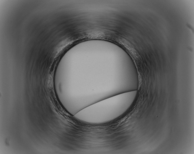 X0000097750583200803070844