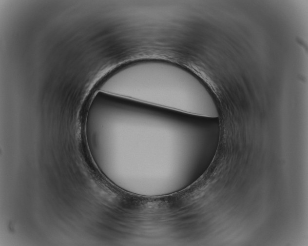 X0000097750584200803070844