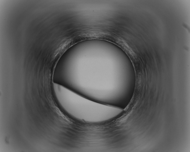 X0000097750585200803070844